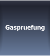 Gaspruefung